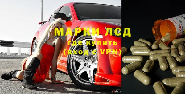 spice Богородицк